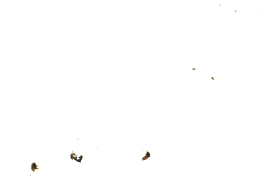 Image 65